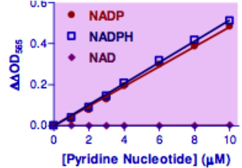 NADP/NADPH Assay Kit