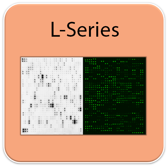 L-Series Membrane Array Blocking Buffer