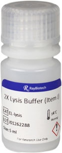 Lysis Buffer (2X)
