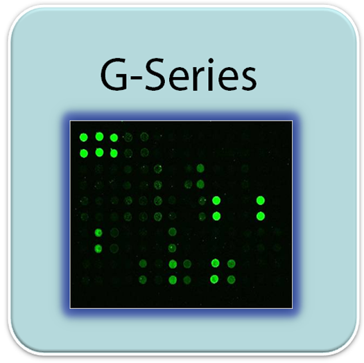 Human Obesity Array G1