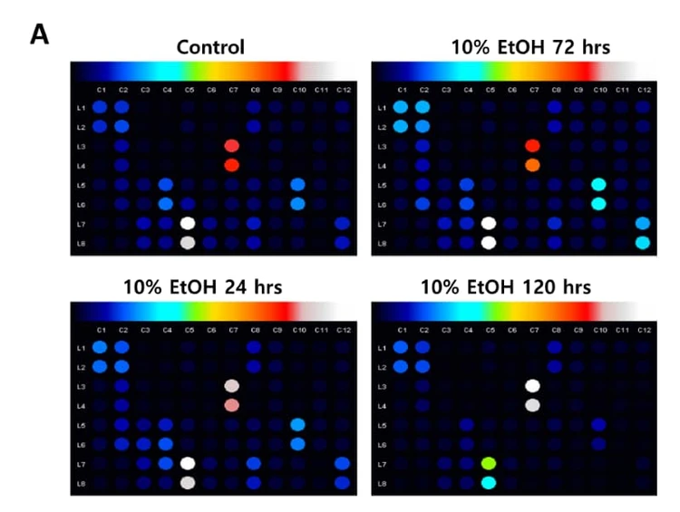 Figure adapted from Kim et al., Journal of Biological Engineering, 2024.