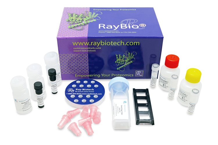 Mouse Proteome Profiling Array L308 (Glass Slide)