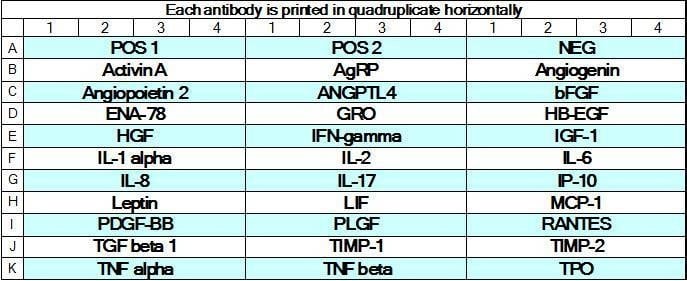 Human Angiogenesis Array GS2