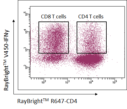 RayBiotech Cell Permeabilization Buffer (10x)