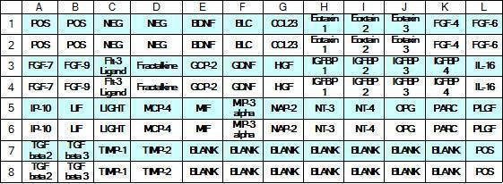 Human Cytokine Array C4