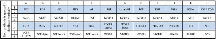 Human Growth Factor Array C1