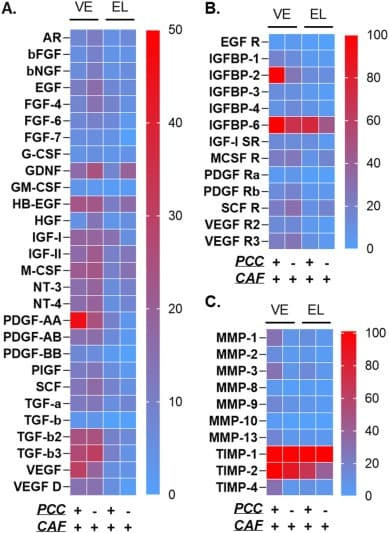 Figure adapted from Lin et al., Materials Today Bio, 2023.