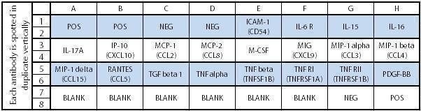Human Inflammation Array C2