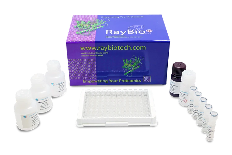 Phospho-AKT (S473) ELISA Kit