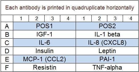 Human Obesity Array Q1