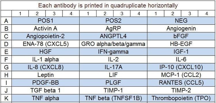 Human Angiogenesis Array Q2