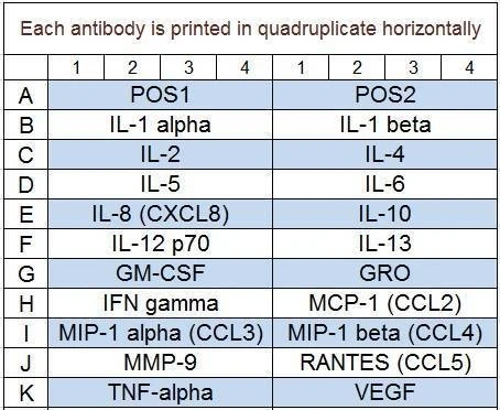 Human Cytokine Array Q1