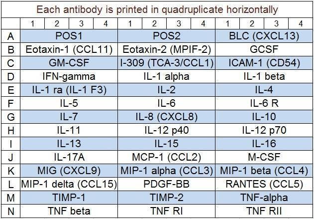 Human Inflammation Array Q3