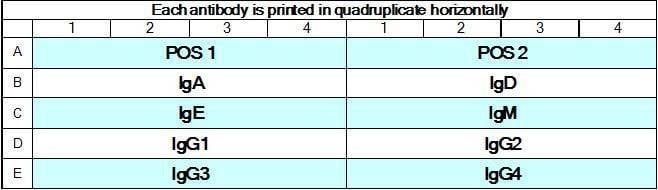 Human Ig Isotyping Array Q1