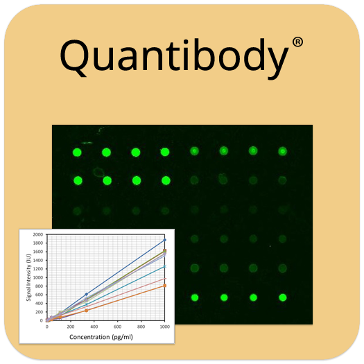 Human Ig Isotyping Array Q1