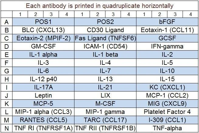 Mouse Cytokine Array Q5