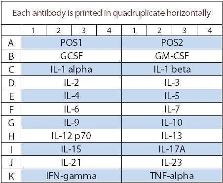 Mouse Interleukin Array Q1
