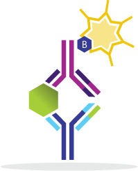 Human TGF-beta 1 ELISA Kit