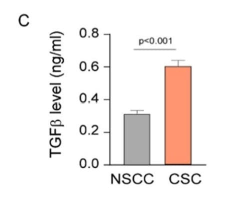 ELH-TGFb1 was used to measure TGFβ in conditioned media from breast cancer stem cells and non-stem cancer cells. Figure adapted from Mukherjee et al., Discover Oncology, 2023.