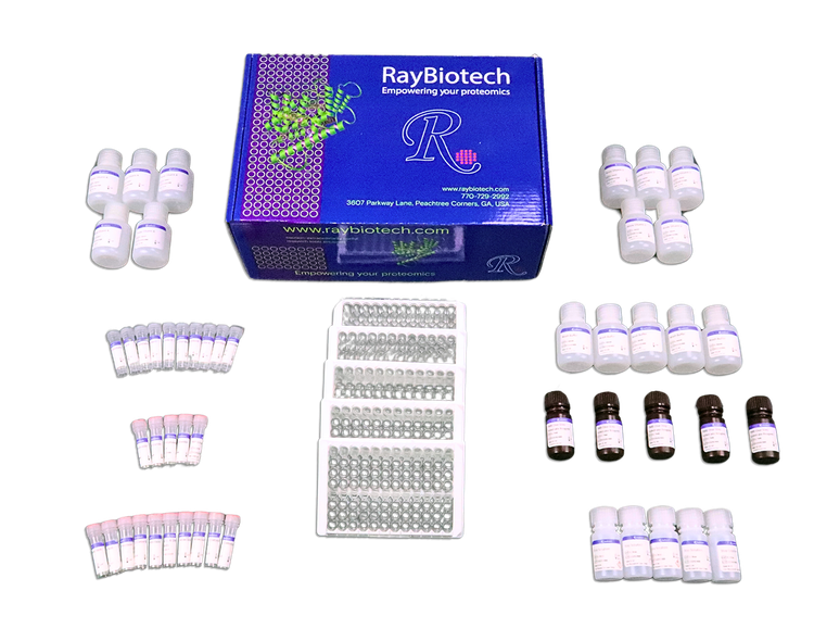 5 Plate Kit Packaging (one box)