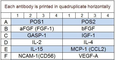 Bovine Cytokine Array Q2