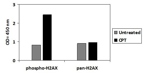 Human Phospho-H2AX (S139) ELISA Kit