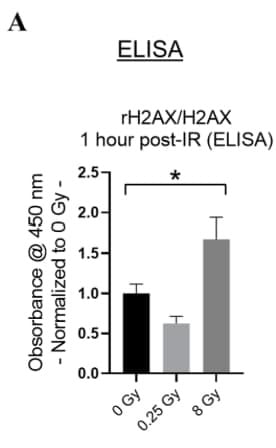 RayBio® Phospho-H2AX (Ser139) and Total H2AX ELISA Kits were used to assess radiation-induced DNA damage in human microvascular endothelial cells. Figure adapted from Wang et al., Cells, 2024.