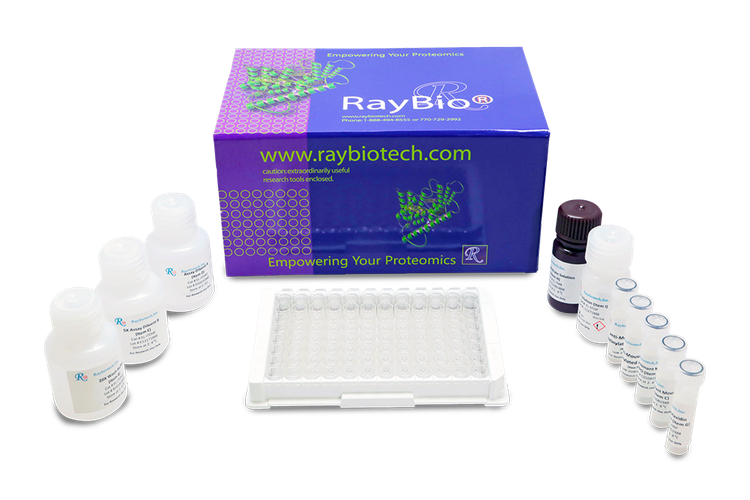 Human Phospho-H2AX (S139) ELISA Kit