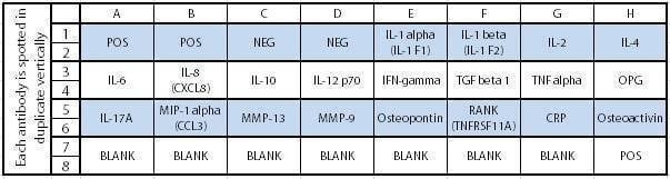Human Periodontal Disease Array C1
