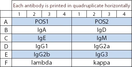 Mouse Ig Isotyping Array Q1