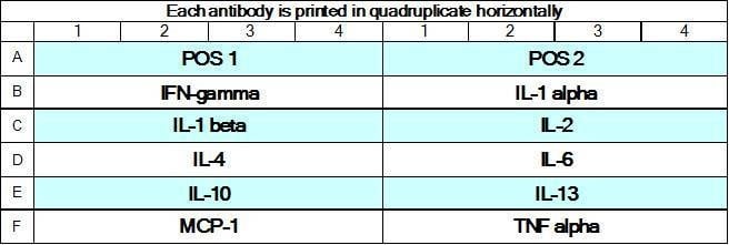 Rat Inflammation Array GS1