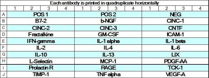 Rat Cytokine Array GS3