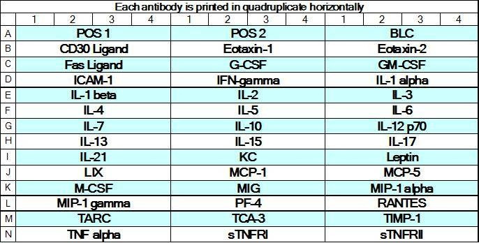 Mouse Inflammation Array GS1