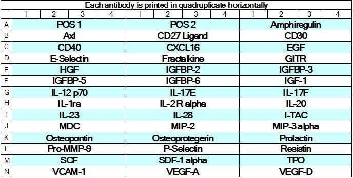 Mouse Cytokine Array GS4