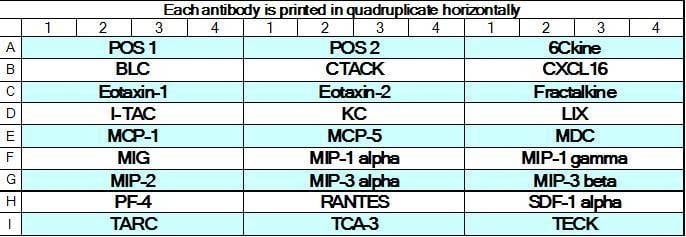 Mouse Chemokine Array GS1