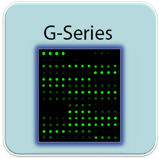 Human Cytokine Array GS1
