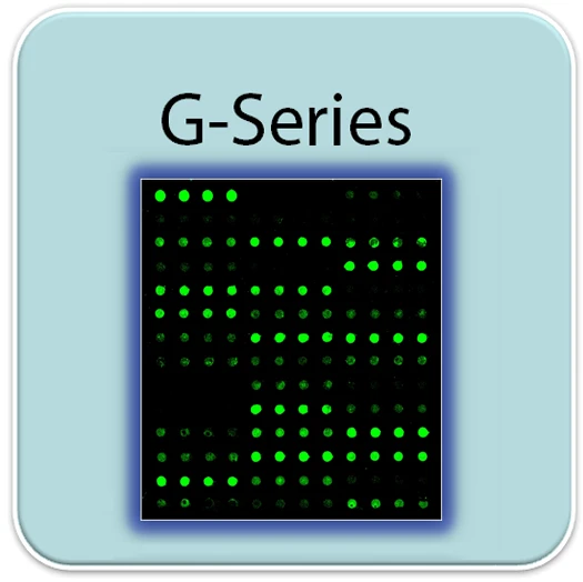 Human Chemokine Array GS1