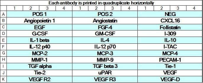 Human Angiogenesis Array GS3