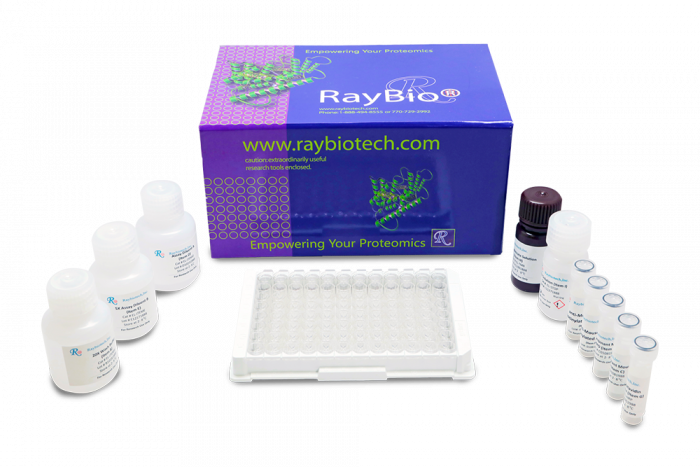 COVID-19 Spike-ACE2 Binding Assay Kit