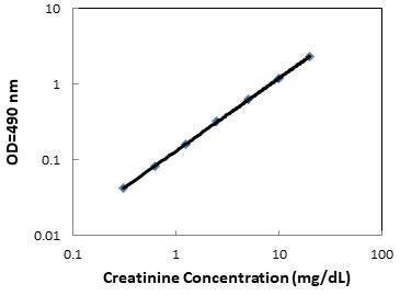 Creatinine Assay for Urine