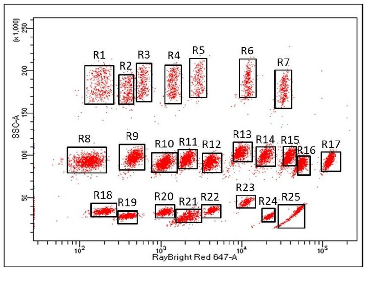 RayPlex® Human Cell Death Bead Array (13-Plex)