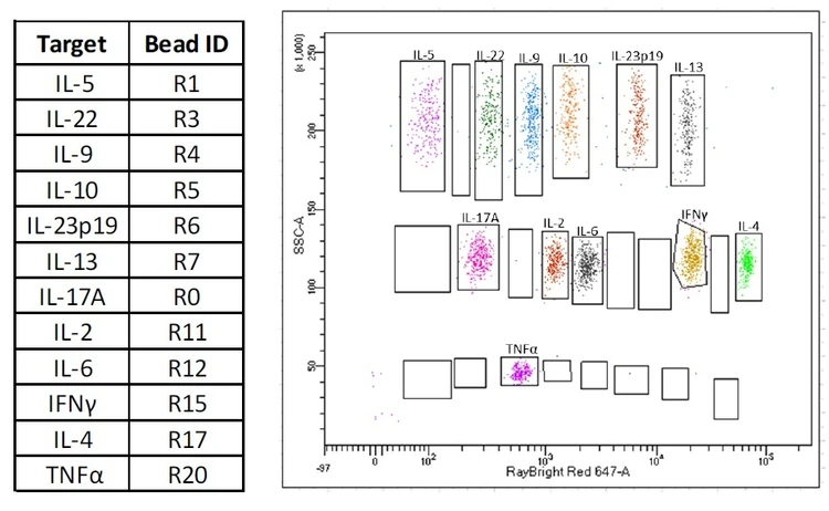 RayPlex® Mouse T Helper Cell Bead Array (12-Plex)