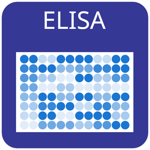 Monkeypox Virus H3L Protein Human IgG ELISA Kit