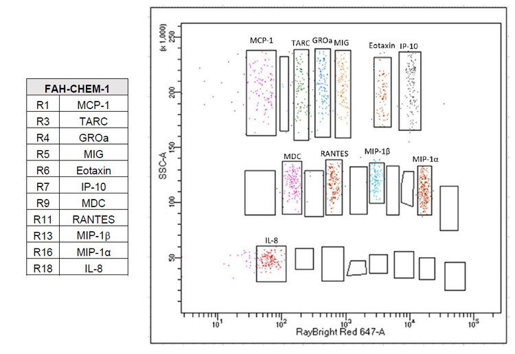 RayPlex® Human Chemokine Bead Array (11-Plex)