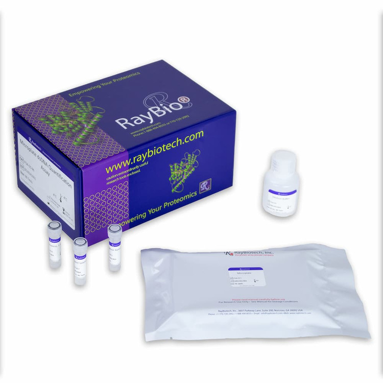 dsDNA Quantification Assay Kit