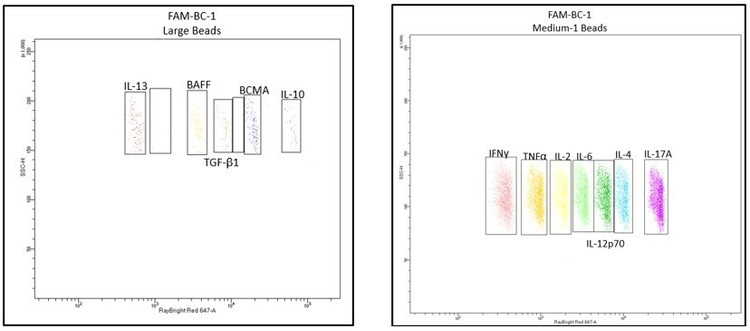 Target Proteins