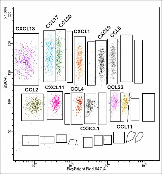 RayPlex® Mouse Chemokine Bead Array (12-Plex)