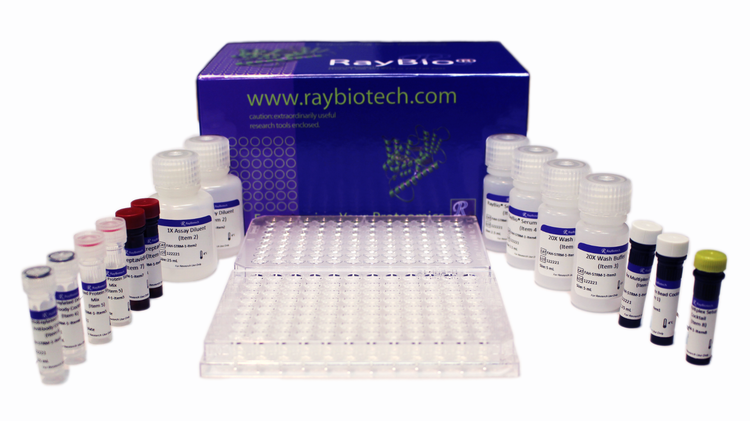 RayPlex® Mouse Chemokine Bead Array (12-Plex)