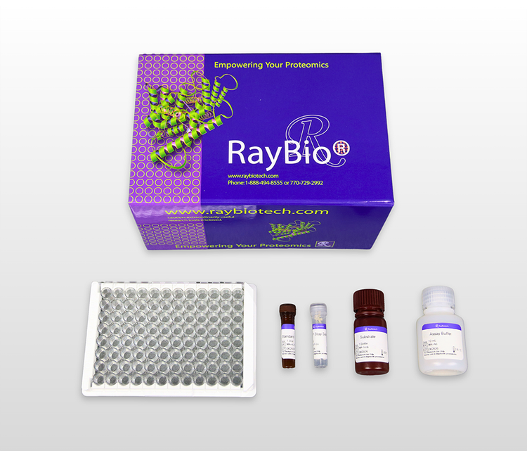 Glutathione Reductase (GR) Activity Assay Kit (Colorimetric)