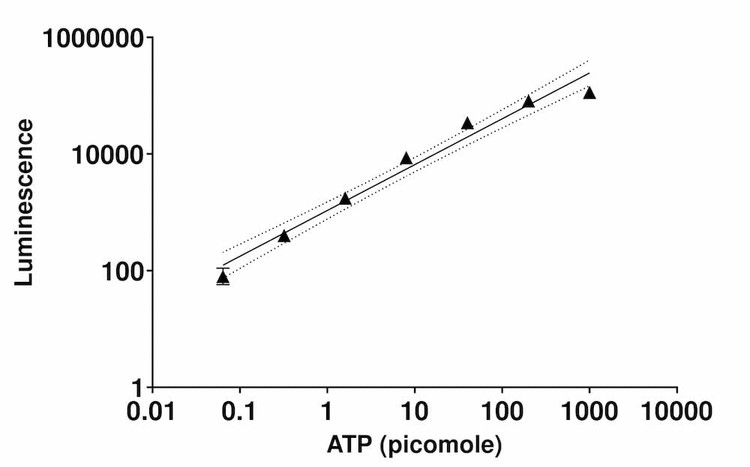 ATP Quantification Assay